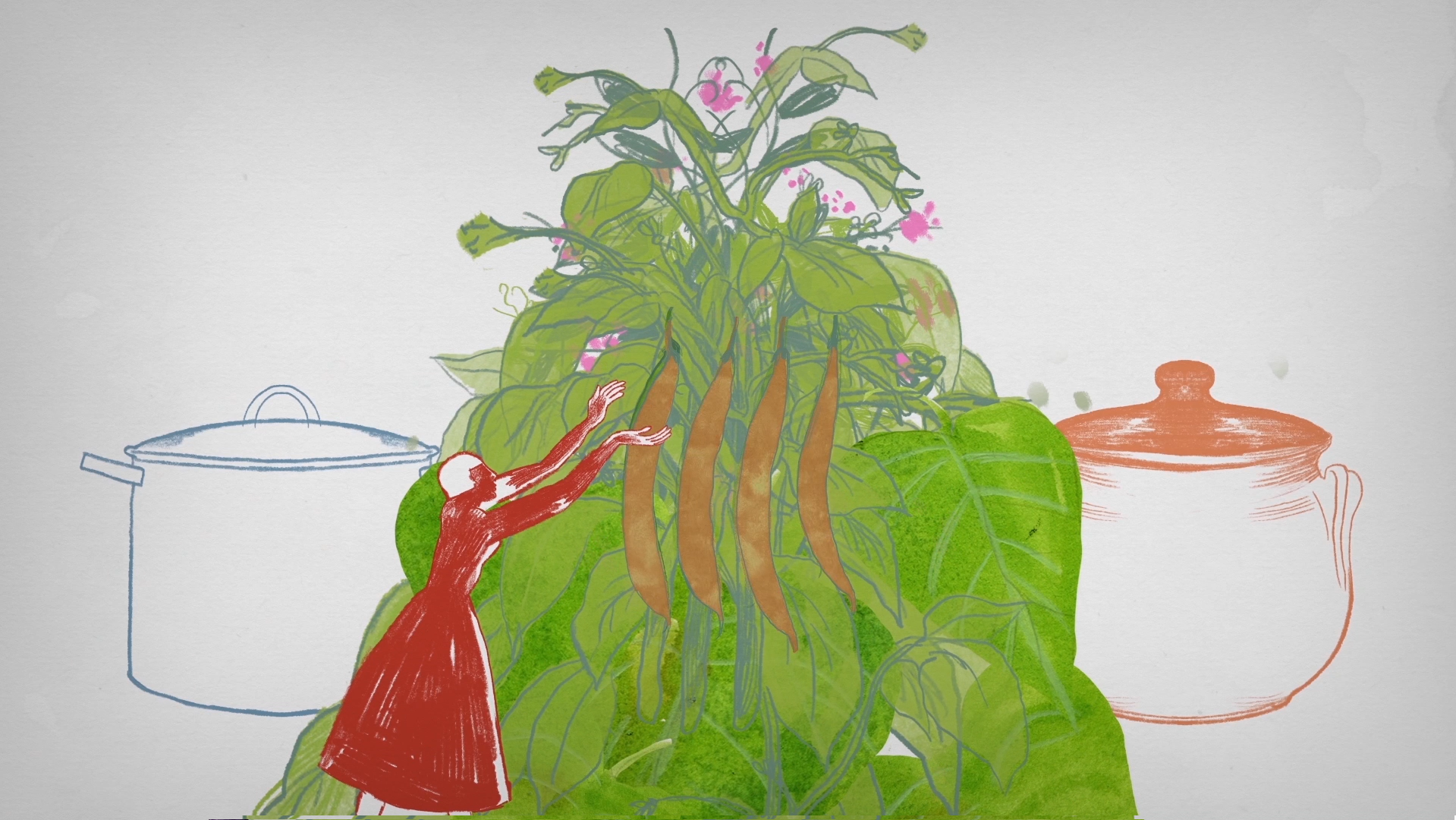 Citizen Science Experiment